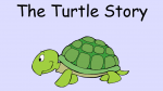 turtle story