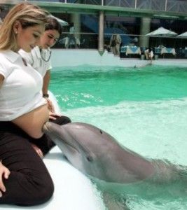 delfinoterapia embarazo