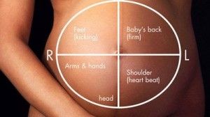 belly mapping para averiguar la posición del bebé 