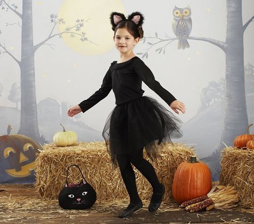 Barricada ~ lado rango 5 ideas de disfraces infantiles de Halloween caseros y baratosBlog sobre  Bebés Online